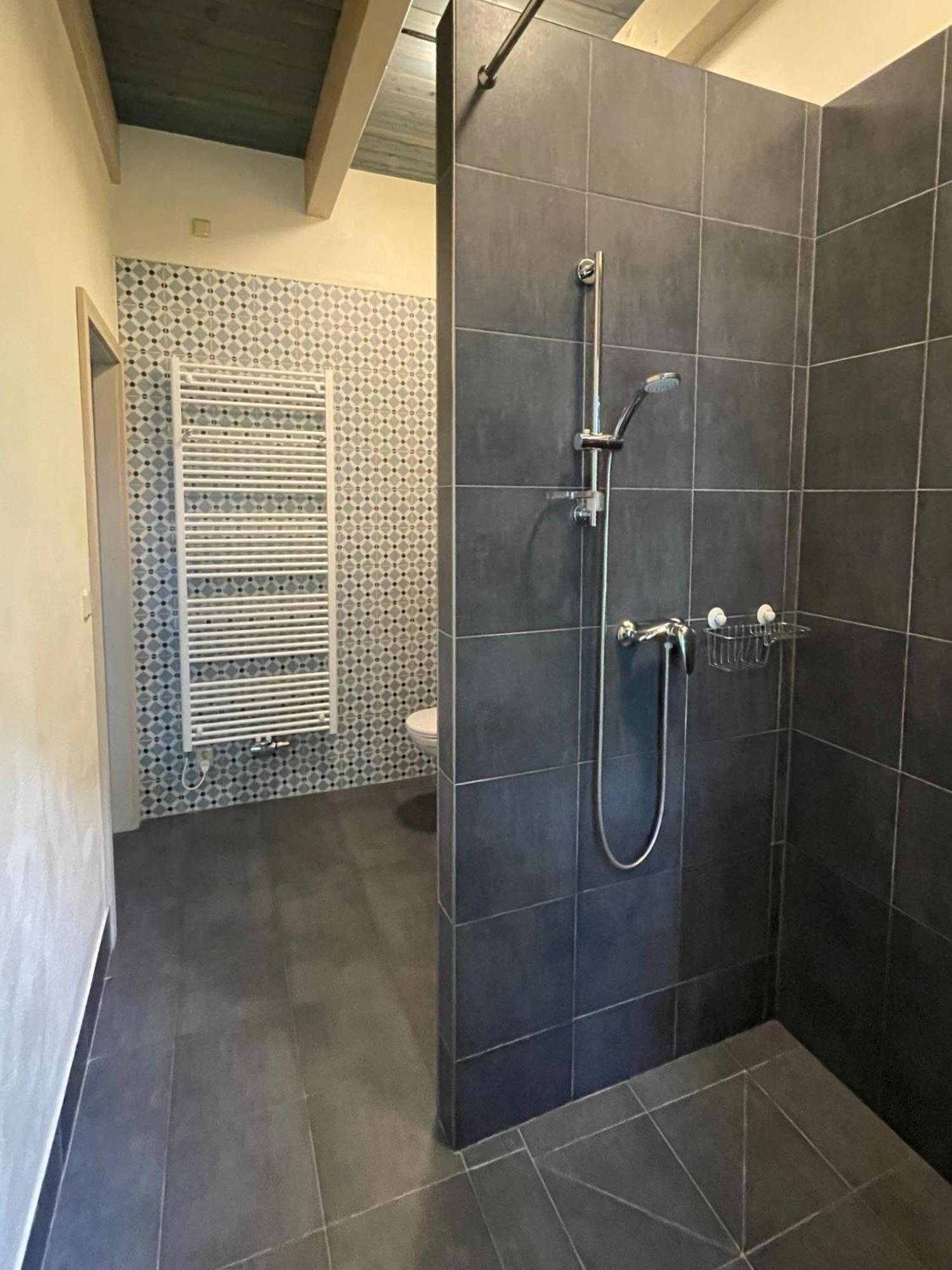 Apartmany Modrinovy Dum Horni Plana Room photo